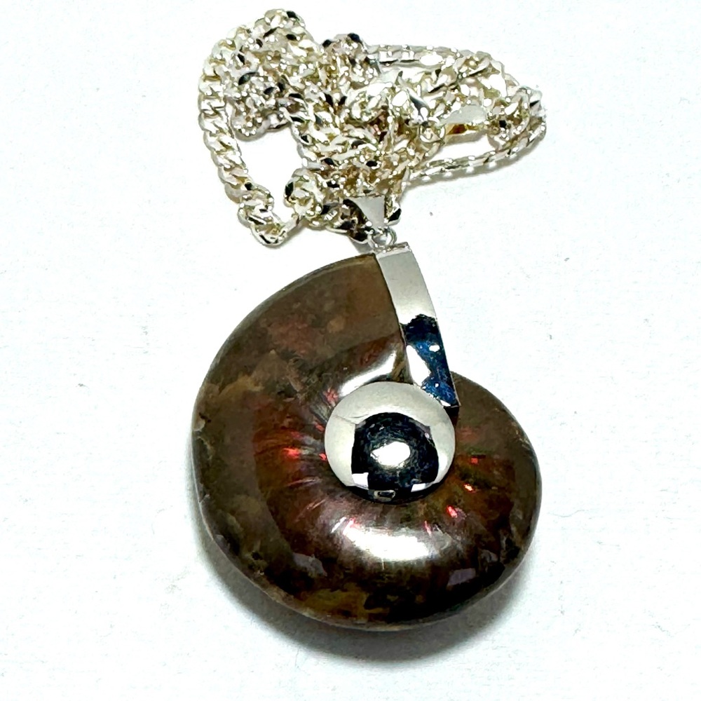 Silver and Large Ammonite Pendant Necklace